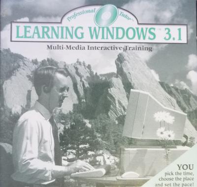 Learning Windows 3.1