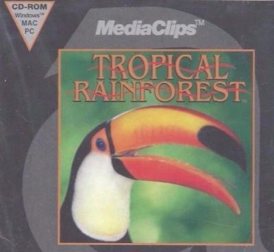 Tropical Rainforest Media Clips