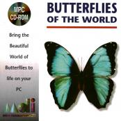 ButterfliesOfTheWorld